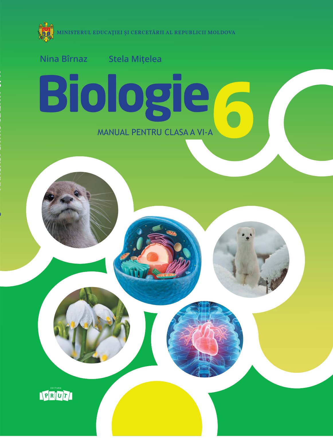 Biologie: Manual pentru clasa a 6-a