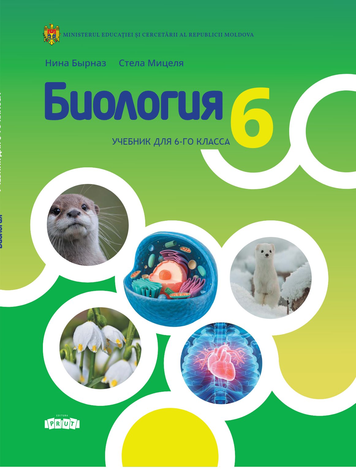 Биология: Учебник для 6-го класса